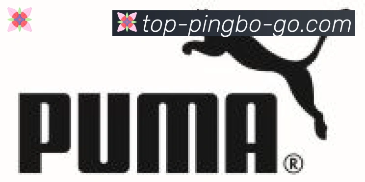 平博pinnacle体育合作伙伴